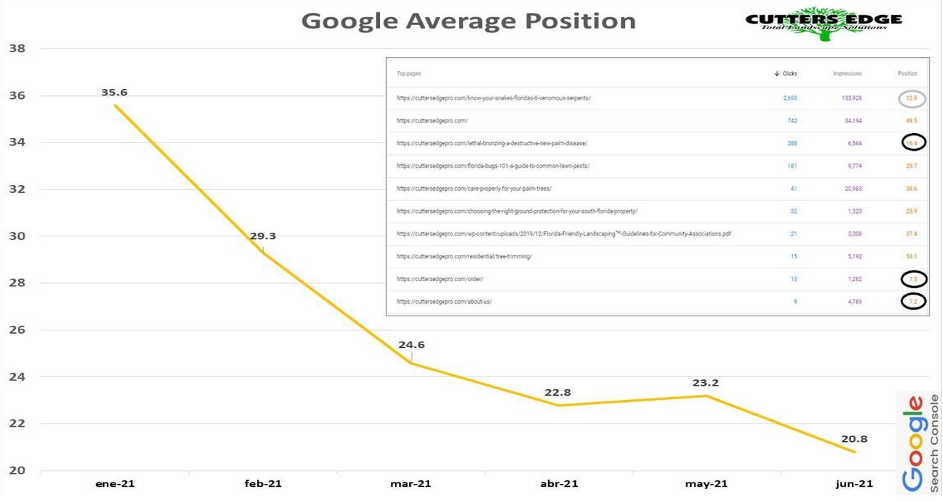 Evolución del Ranking en Google de Cutters Edge